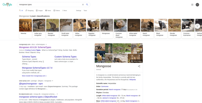 Web page showing the Google search results for "mongoose types". There are pictures of various classifications of the mongoose animal with captions such as "Egyptian Mongoose"
