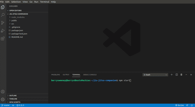 Visual Studio Code editor with terminal open and the npm start command shown